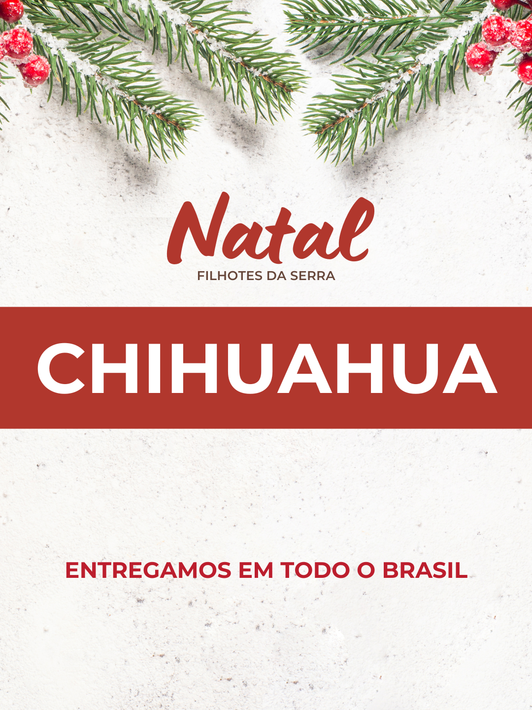 11natal 11natal