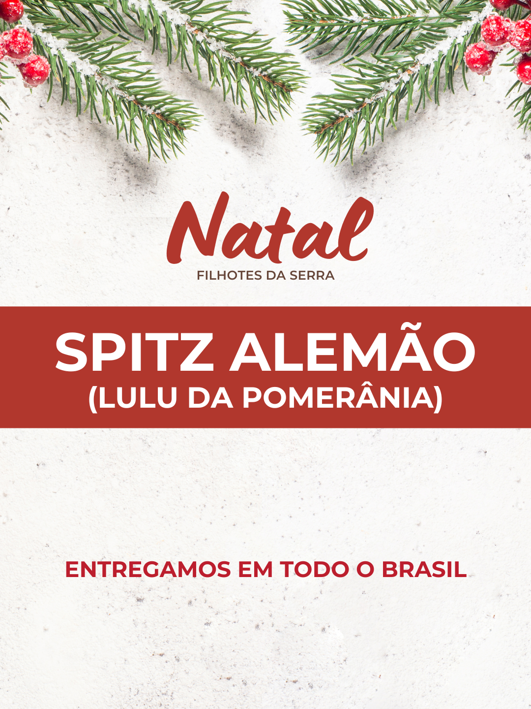 12natal 12natal