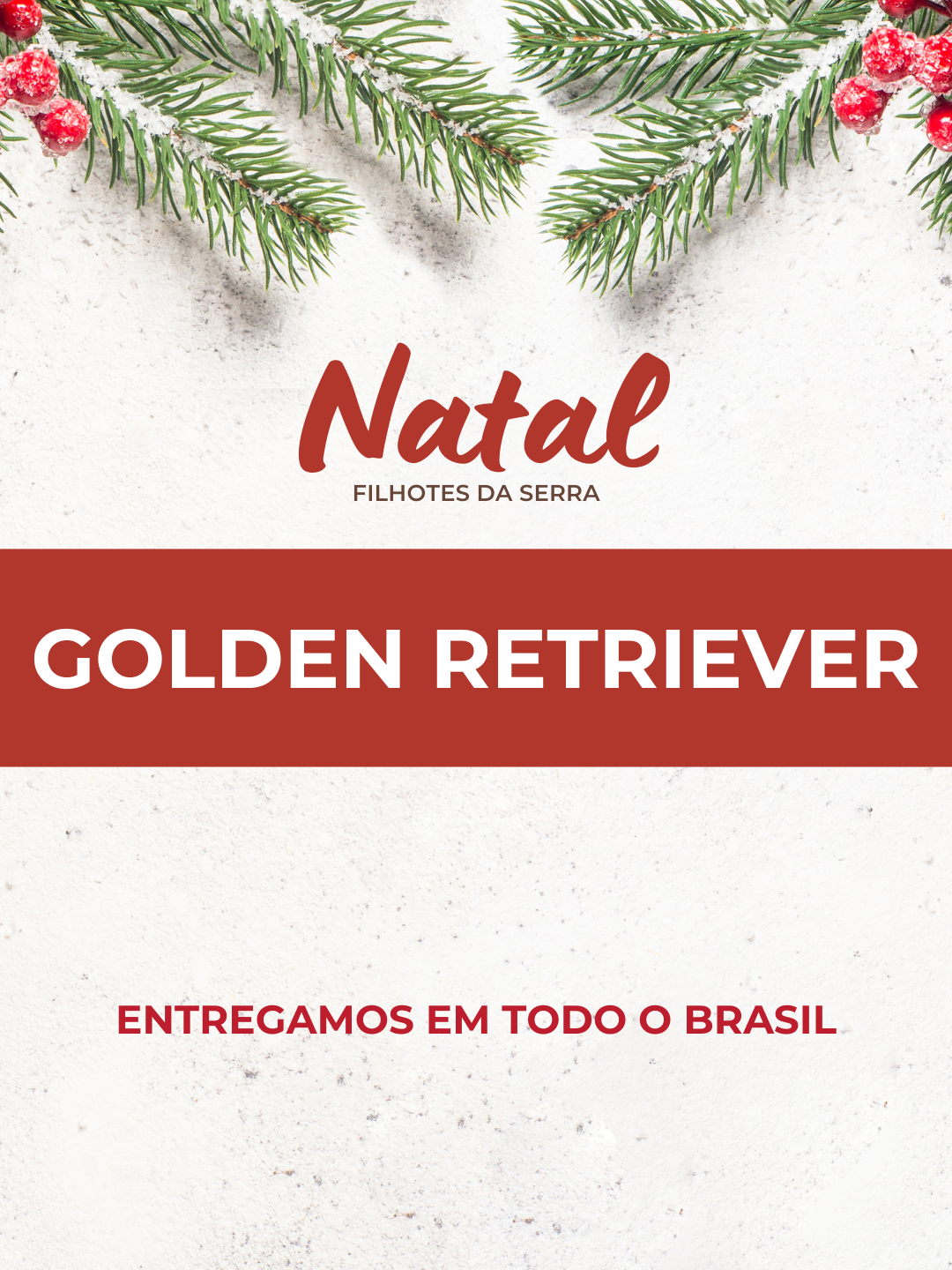 13natal 13natal