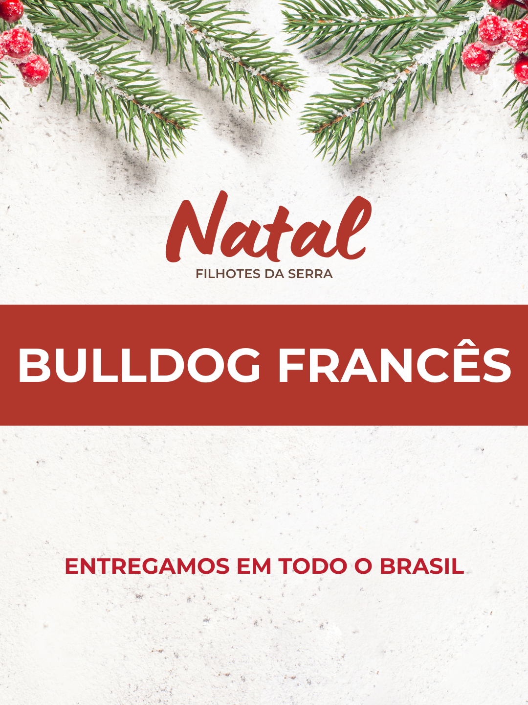 14natal 14natal