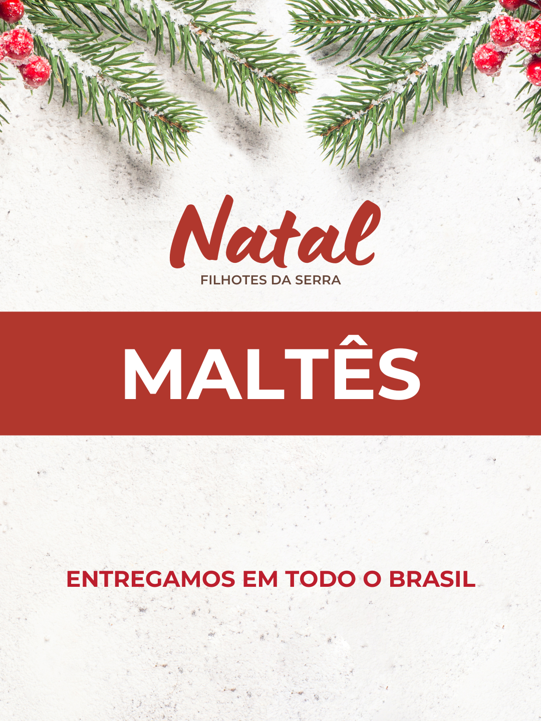 16natal 16natal