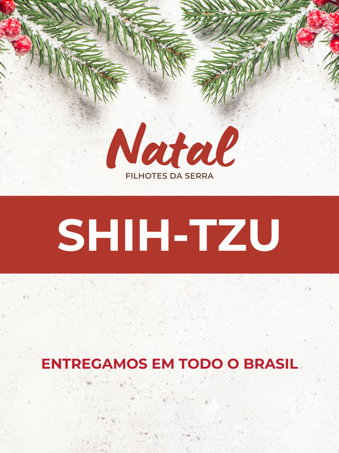 17natal 17natal