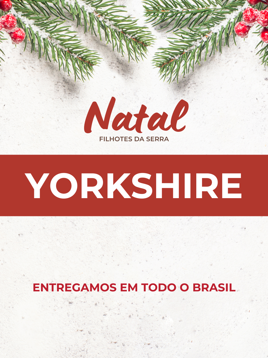18natal 18natal